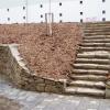 photo8